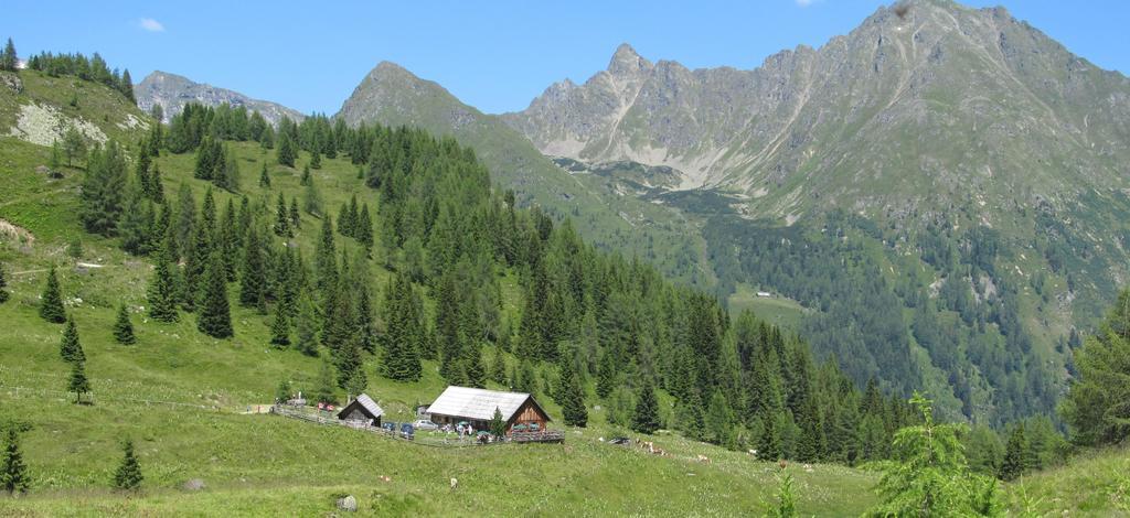 Biobauernhof Tonimoertl Villa Mariapfarr Exteriör bild